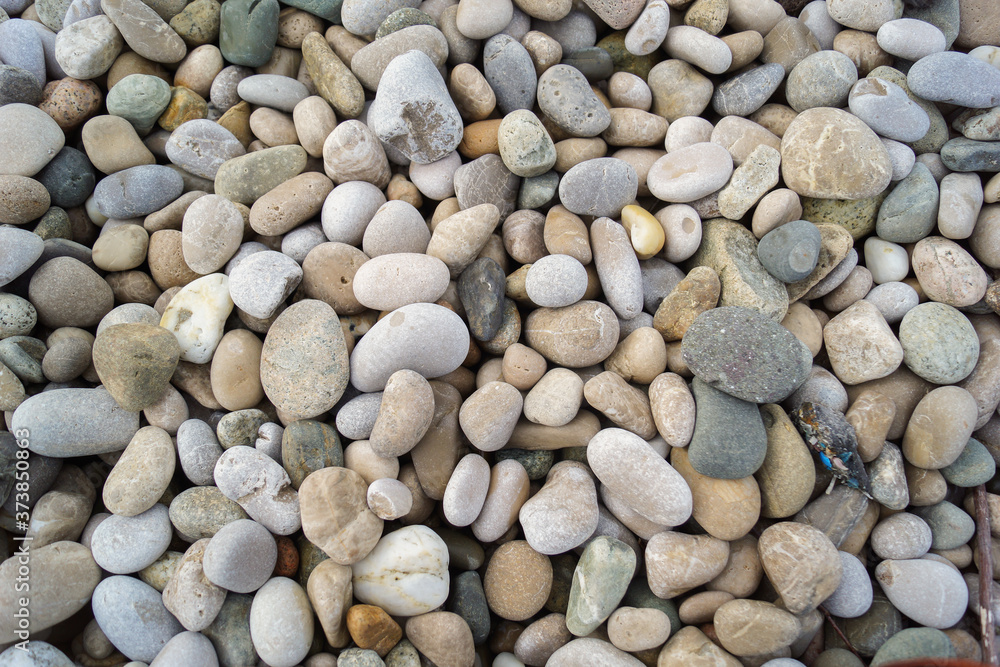 stones pebbles stones pebbles