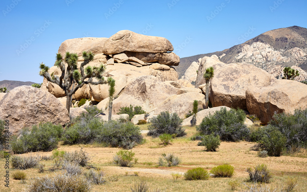 Boulders in Joshua Tree National Park, California, USA.