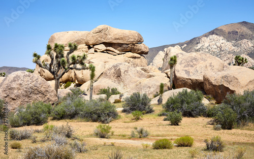 Boulders in Joshua Tree National Park, California, USA.