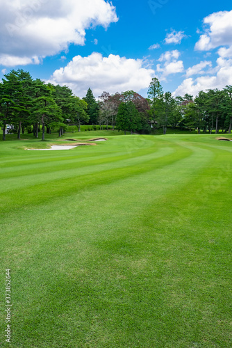 Golf Course with beautiful green field. Golf course with a rich green turf beautiful scenery. © okimo