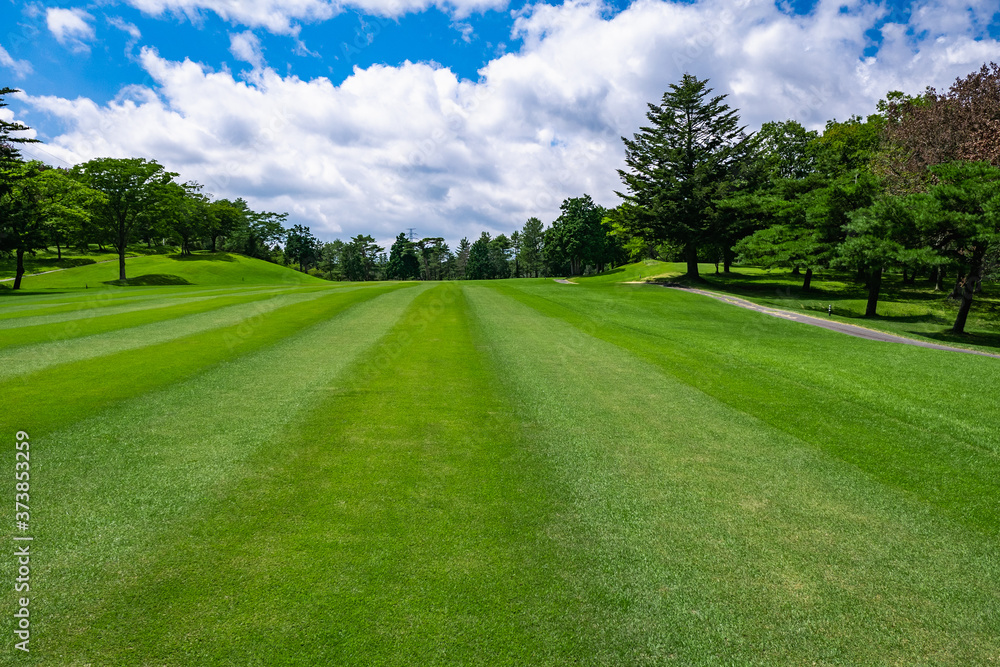 Golf Course with beautiful green field. Golf course with a rich green turf beautiful scenery. Golf Course with beautiful green field. Golf course with a rich green turf beautiful scenery.