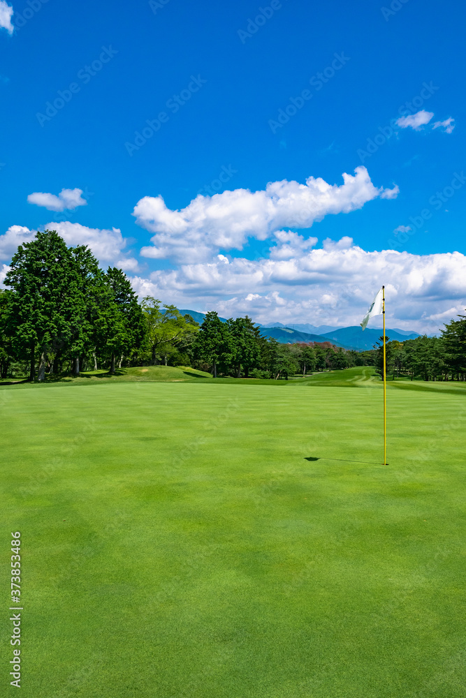 Obraz premium Golf Course with beautiful green field. Golf course with a rich green turf beautiful scenery.