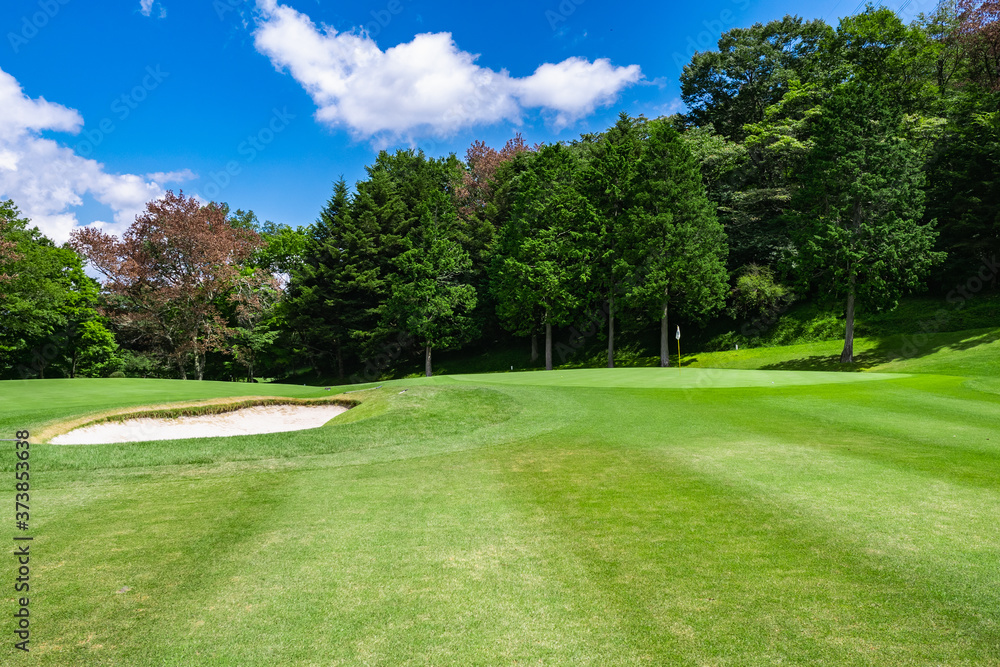 Obraz premium Golf Course with beautiful green field. Golf course with a rich green turf beautiful scenery.