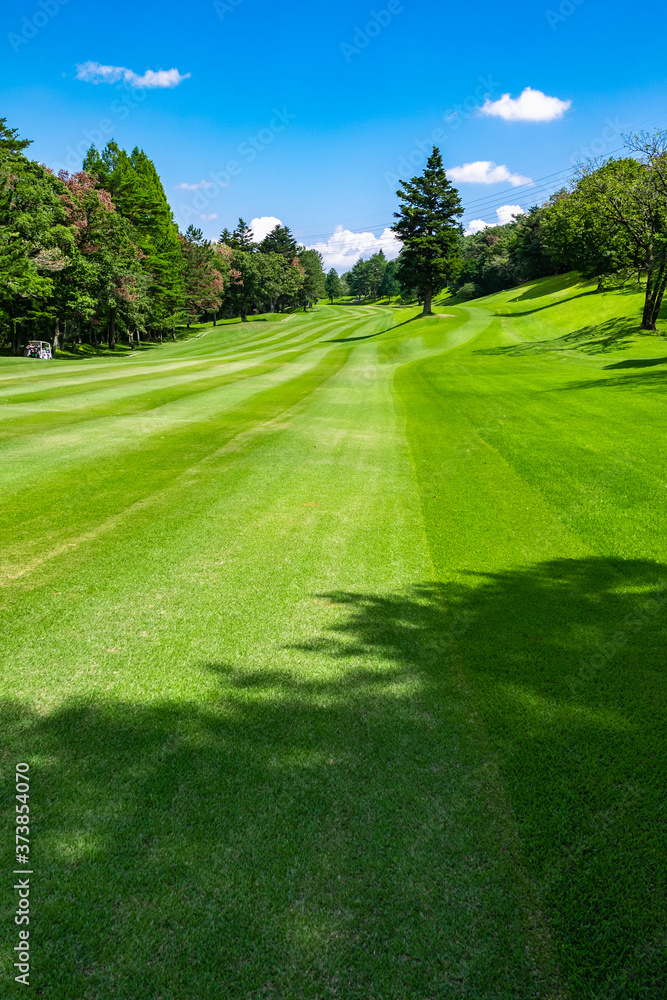 Golf Course with beautiful green field. Golf course with a rich green turf beautiful scenery. Golf Course with beautiful green field. Golf course with a rich green turf beautiful scenery.