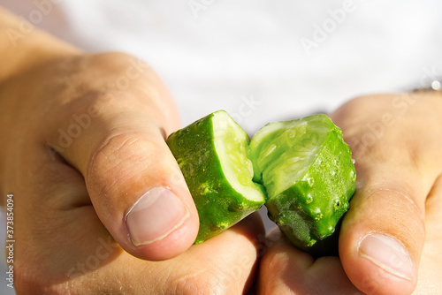 Foto ripe cucumber is broken in half in hands close-up