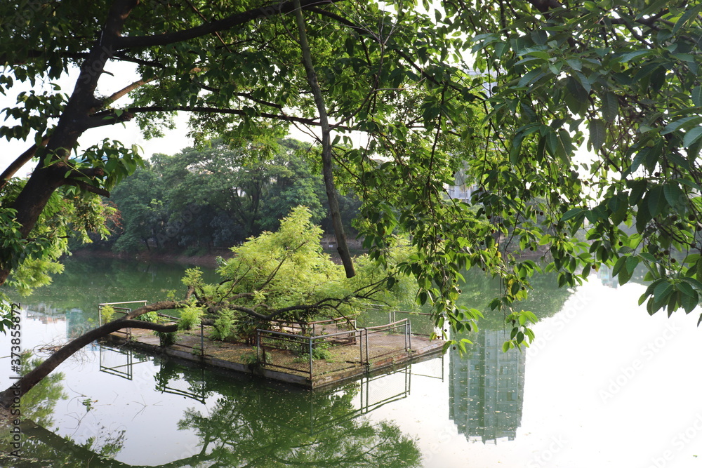 Naklejka premium tree in the water