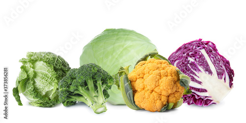 Set with different fresh cabbages on white background. Banner design