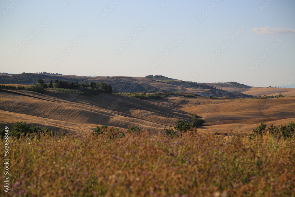 Beautiful Tuscany Landscape, Val D'Orcia