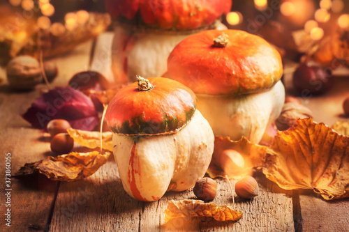 Happy Thanksgiving Day background  wooden table decorated with Pumpkins with light bokeh garland. Halloween concept. Beautiful Holiday Autumn Composition