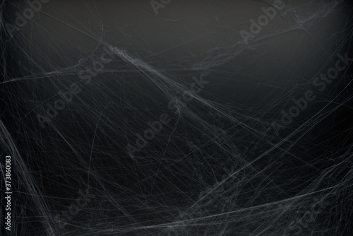 Obraz na płótnie Decoration of artificial spider web over black background