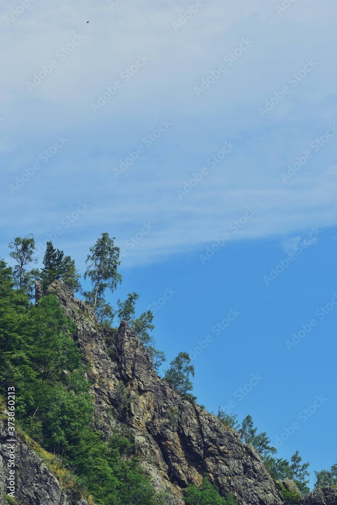 steep rock with grass and green bushes