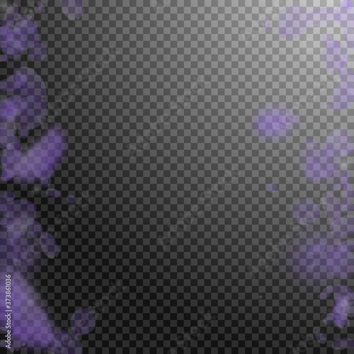 Violet flower petals falling down. Interesting rom