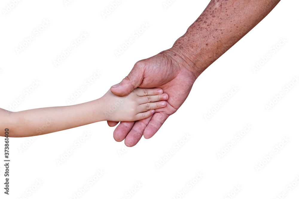 Fototapeta premium Asian little child girl shaking hands old man right hand isolated on white background , clipping path