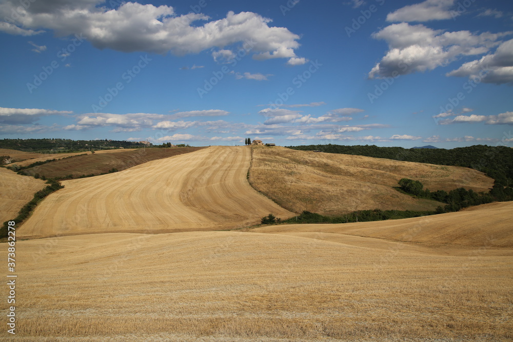 Beautiful Tuscany Landscape, Val D'Orcia