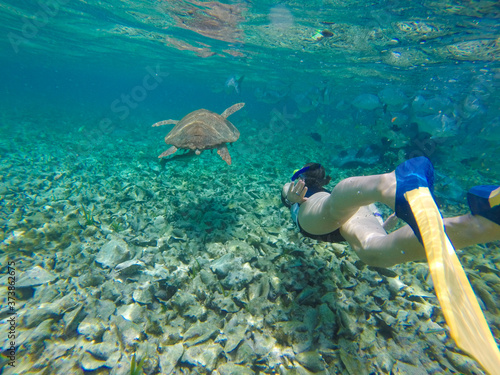 Breathtaking shot of an underwater landscape with tropical fishes and diver in Caye Caulker island