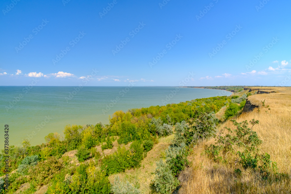 View of the sea from a high clay bank on a sunny summer day against the backdrop of a cloudless blue sky. Steppe with dried yellow grass and green trees on the coast. Colorful landscape. Copy space.