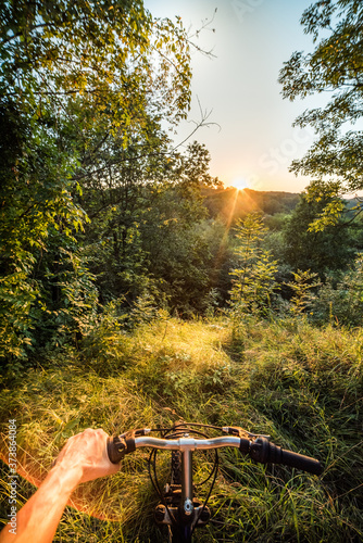 The cyclist at sunset in the forest