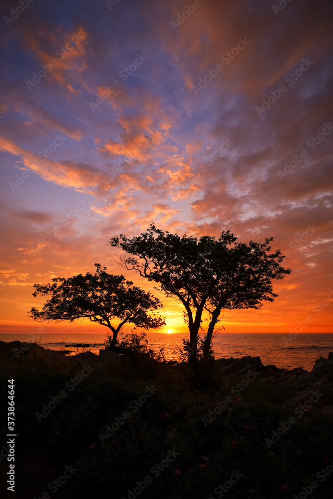 Sonnenaufgang über dem Meer mit Bäumen als Silhouette