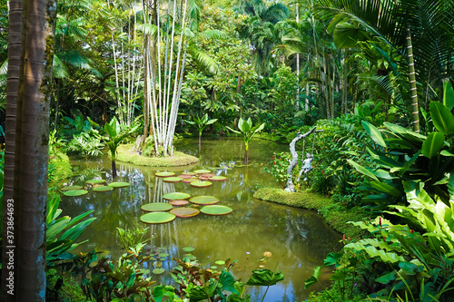 Beautiful view of Singapore botanic gardens in Australia photo