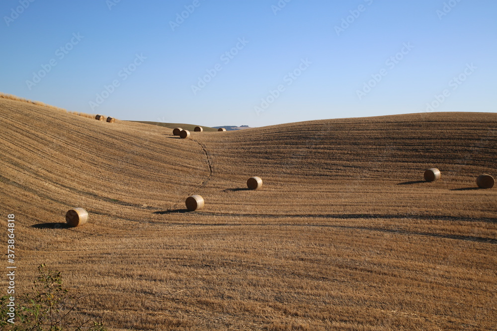 Beautiful Tuscany Landscape, Val D'Orcia