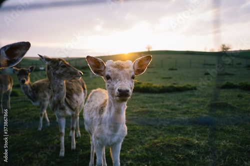 Besuch im Tierpark © Marc Wiegelmann