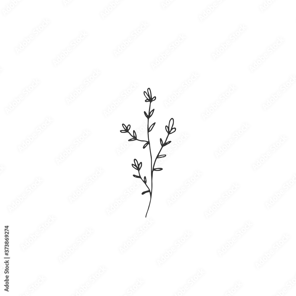 A branch with leaves and flowers. Hand drawn simple floral icon. Vector illustration. A branch with leaves and flowers. Hand drawn simple floral icon. Vector illustration.