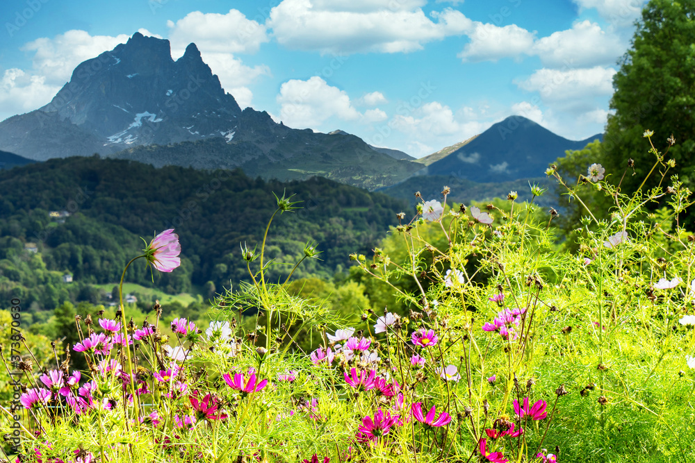 garden with flowers, Pic du Midi Ossau, french Pyrenees mountains