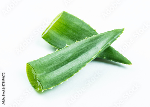 aloe vera  two fresh leaves  laying on white background photo