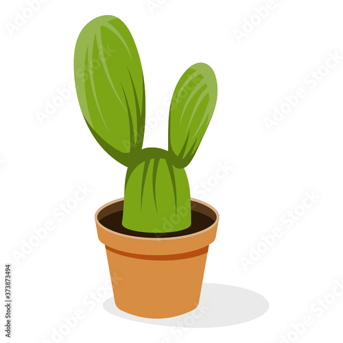 
Astrophytum evergreen plant flat vector 
