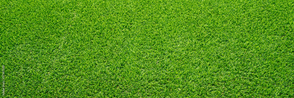 Artificial grass field meadow green. Top View Texture. Artificial grass field meadow green. Top View Texture.