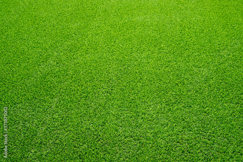 Fotografi Artificial grass field meadow green. Top View Texture.
