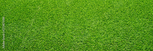 Artificial grass field meadow green. Top View Texture. 