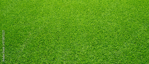 Artificial grass field meadow green. Top View Texture. 