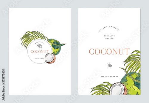 Creative poster template design, line art illustration of coconut and leaves ...