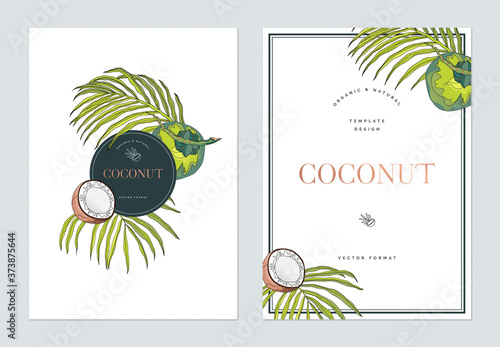 Creative poster template design, line art illustration of coconut and leaves ...