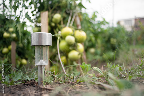 Garden solar lamp on the tomatoes in the garden bed background.