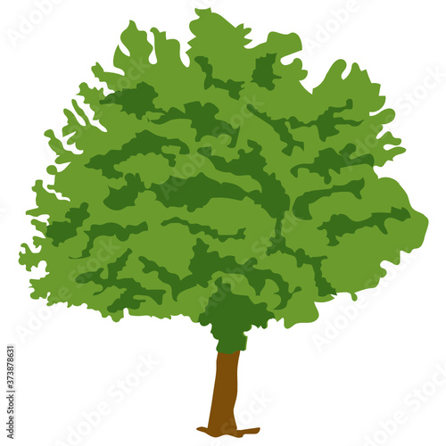  Flat style of a deciduous tree, honey locust plant icon 