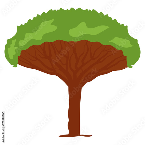 
A subtropical red resin plantation, dragon tree icon
