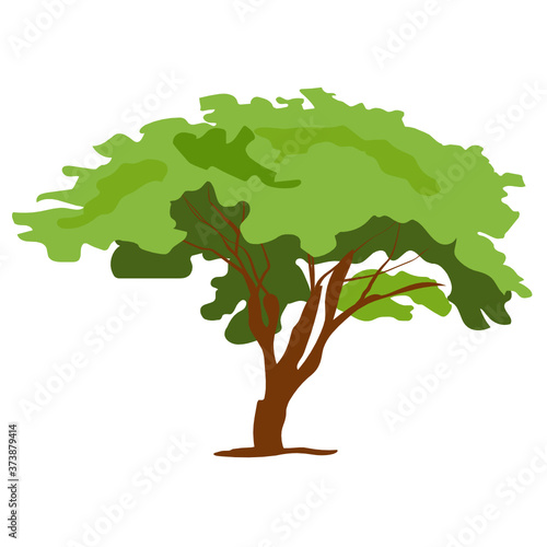 
Trendy design of tilia tree, a bushy tree vector 
