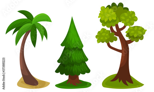 Tree with Exuberant Green Foliage and Trunk Vector Illustration