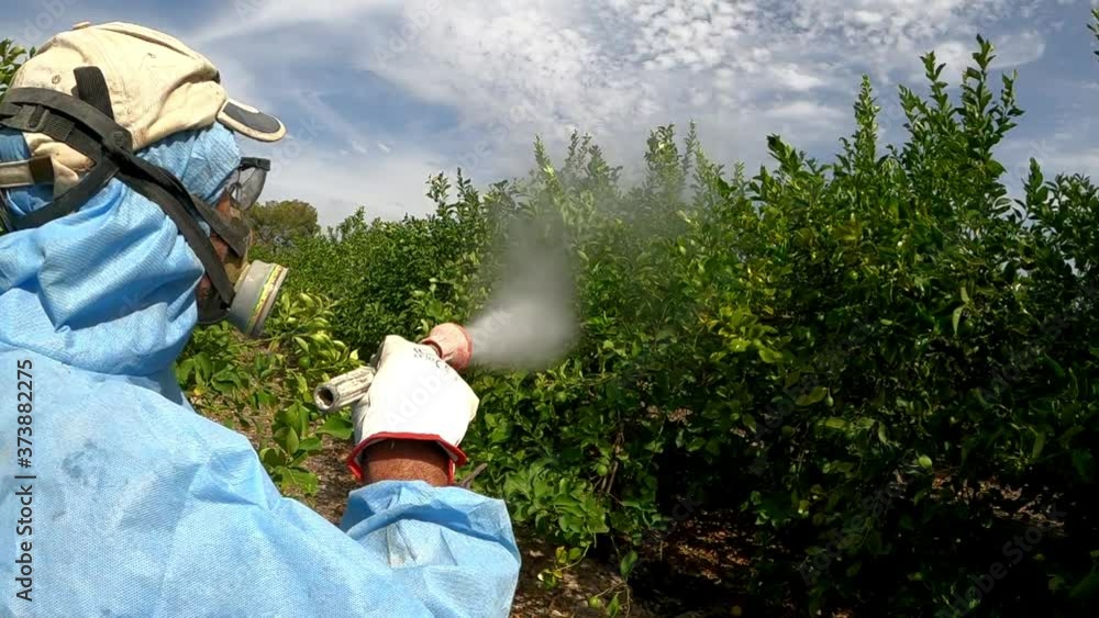 Weed insecticide fumigation. Organic ecological agriculture. Farmworker