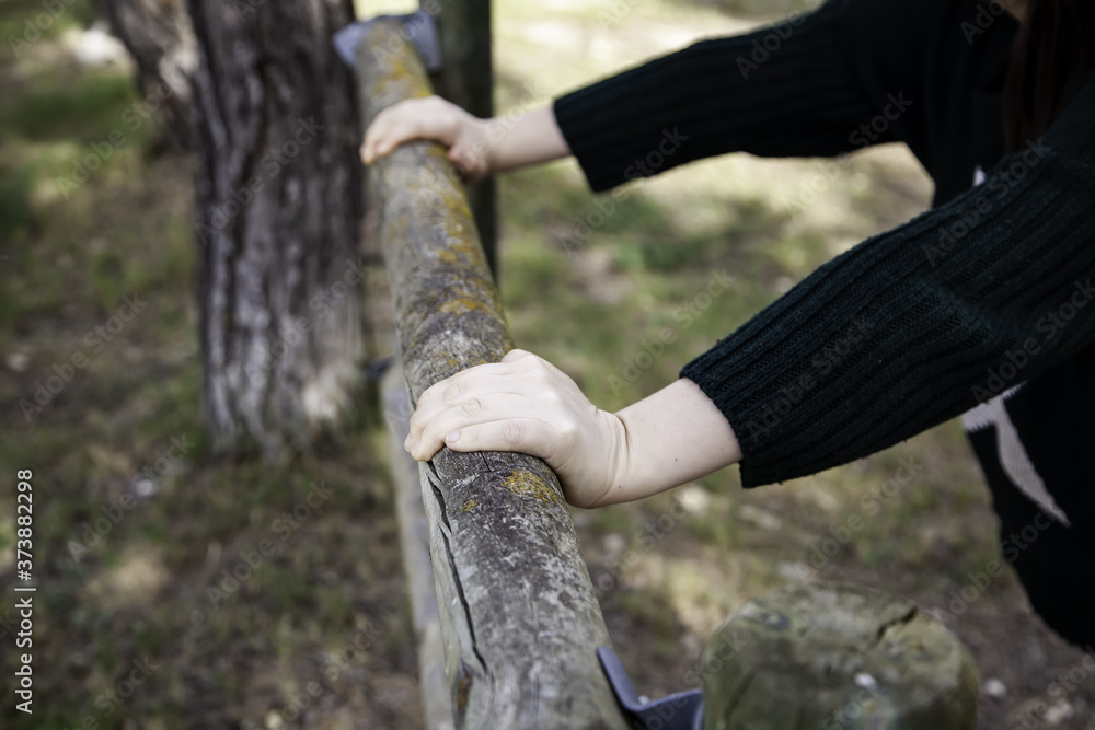 Hands on a log of wood Hands on a log of wood