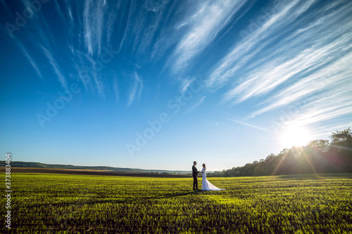 elegant groom and chic brunette bride on a background of nature and blue sky. View from afar
