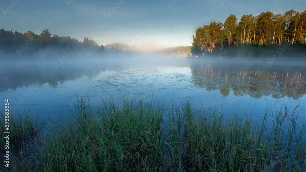 Morning fresh fog on the lake. Summer landscape at sunrise