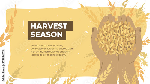 Design template for agriculture or farming. Layout or flyer with farmer hands holding ripe grains of wheat. Agricultural produce. Harvest season in farm land. Handful of cereal vector illustration