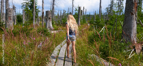 Child girl walking barefoot along a wooden walkway in a peat bog around a lake  Latschensee. Tourist walking in nature reserve. Bavarian Forest National Park, Germany photo