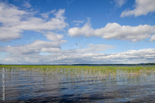 Kanozero lake on a sunny day. Kola Peninsula  Murmansk Oblast  Russia.