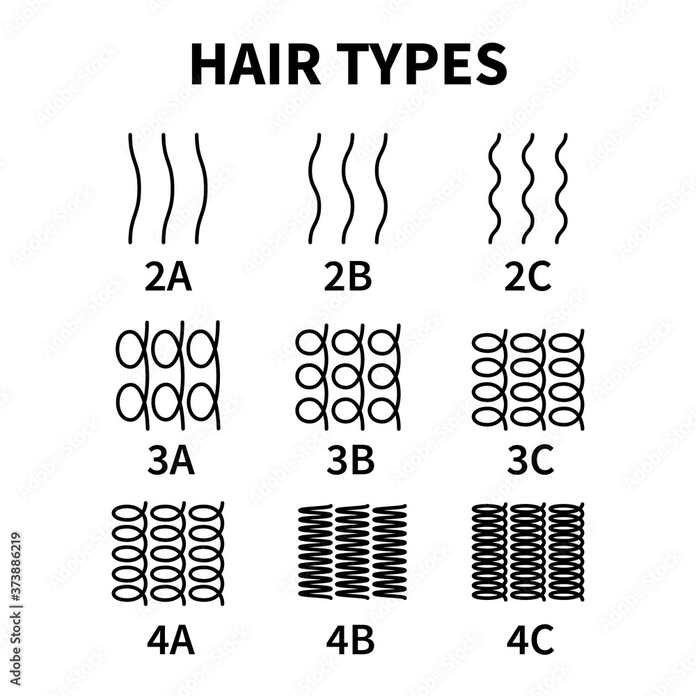 Vector illustration of hair types chart with all curl types, labeled. Curly  girl method concept. Waves, coils and kinky hair Stock Vector | Adobe Stock