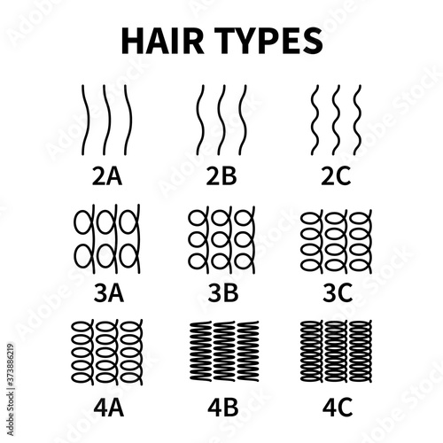 Vector illustration of hair types chart with all curl types, labeled. Curly girl method concept. Waves, coils and kinky hair