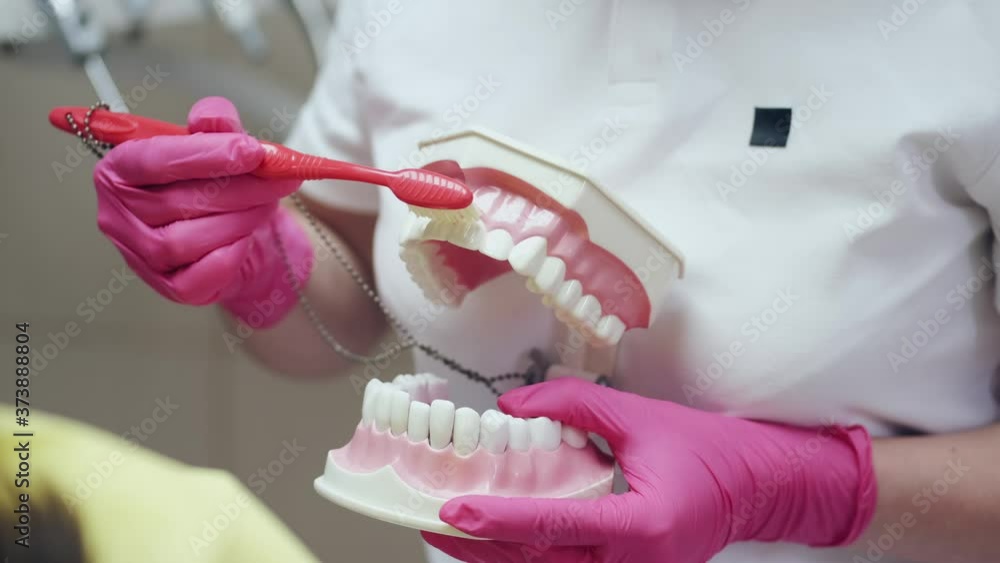 A hygienist is teaching how to brush teeth correctly. Th specialist is holding a plastic model of mouth and showing the brush movements. A hygienist is teaching how to brush teeth correctly. Th specialist is holding a plastic model of mouth and showing the brush movements.